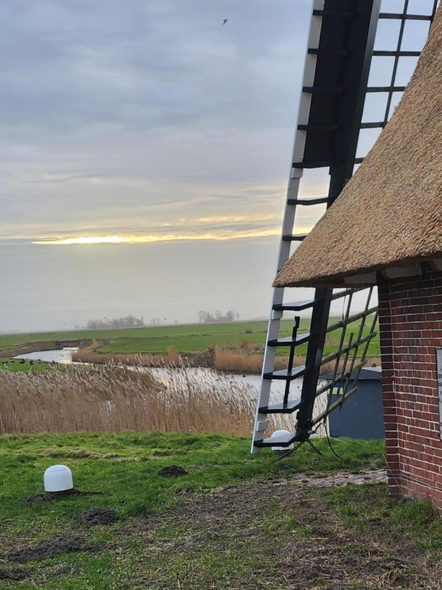 In Het Mooie Friesland Vele Bezienswaardigheden Hantum Exterior foto